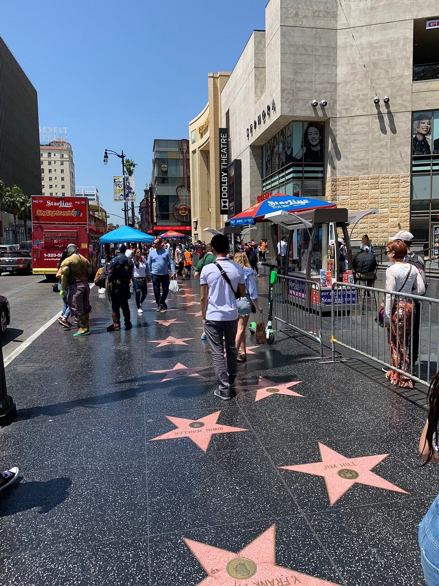 hollywood walk